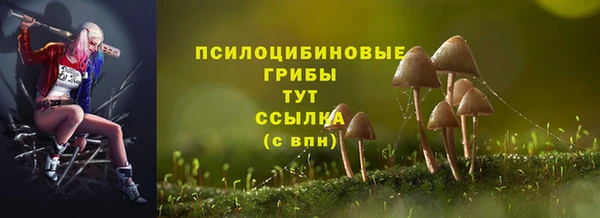 бошки Лагань