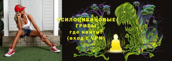 бошки Лагань