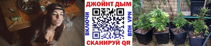 Шишки марихуана Bruce Banner  Купить где  Михайловка 